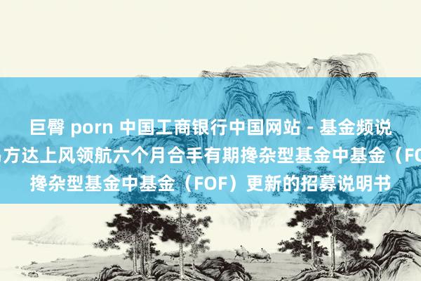 巨臀 porn 中国工商银行中国网站－基金频说念－基金公告栏目－易方达上风领航六个月合手有期搀杂型基金中基金（FOF）更新的招募说明书