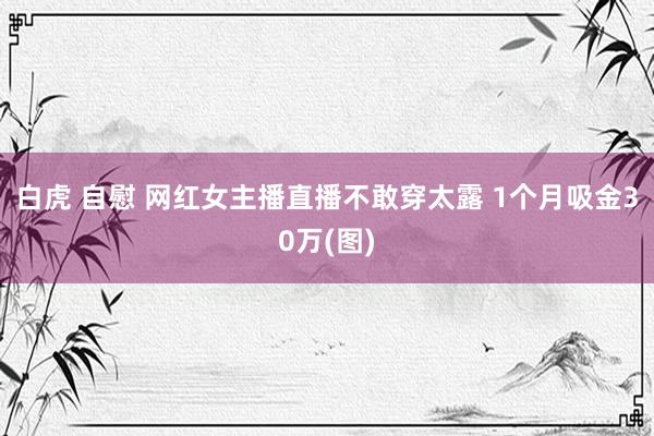 白虎 自慰 网红女主播直播不敢穿太露 1个月吸金30万(图)