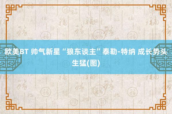 欧美BT 帅气新星“狼东谈主”泰勒-特纳 成长势头生猛(图)