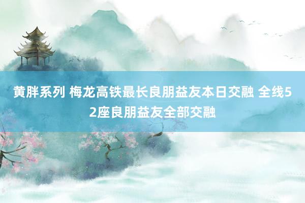 黄胖系列 梅龙高铁最长良朋益友本日交融 全线52座良朋益友全部交融