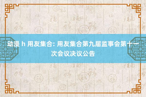 动漫 h 用友集合: 用友集合第九届监事会第十一次会议决议公告